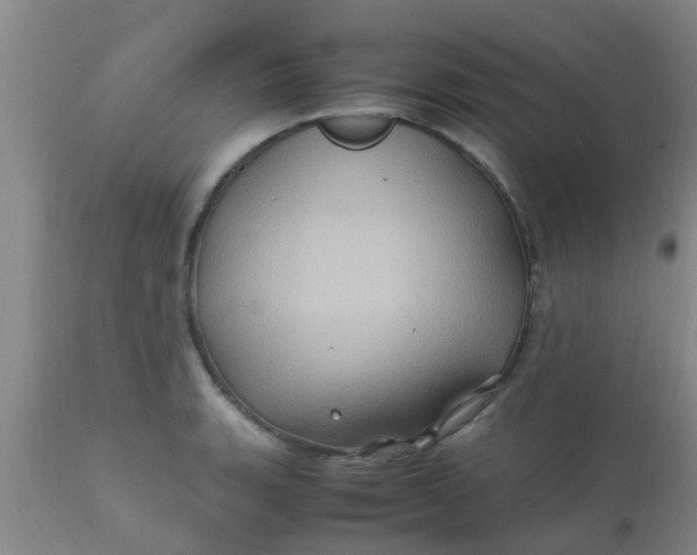 X0000110971135200907022238