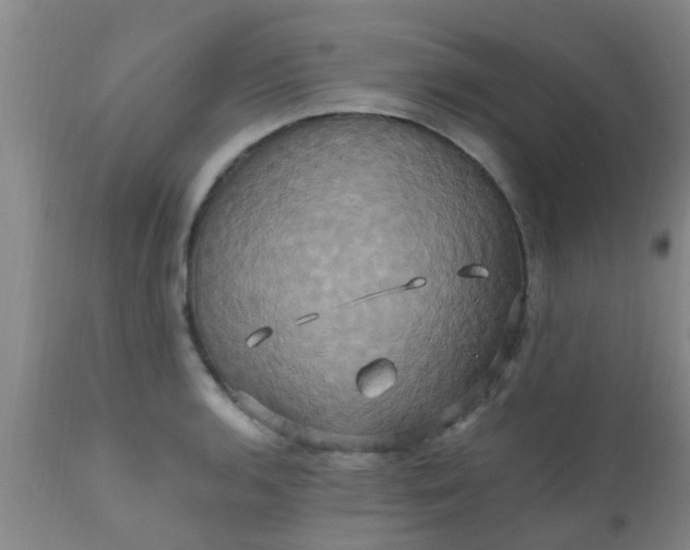 X0000110971136200907022238