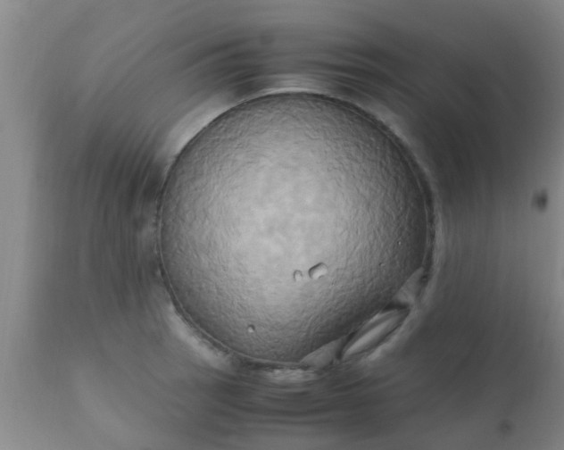 X0000110971137200907022238