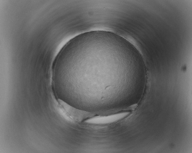 X0000110971140200907022239