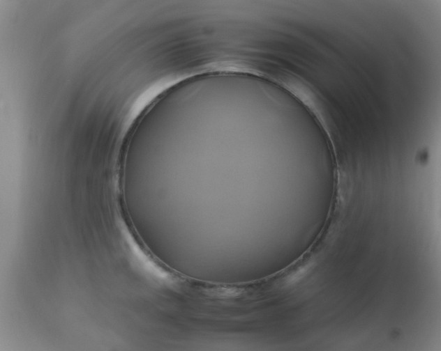 X0000110971141200907022239