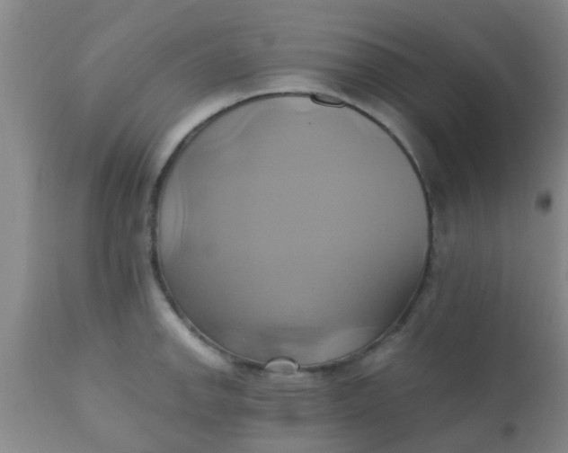 X0000110971142200907022239