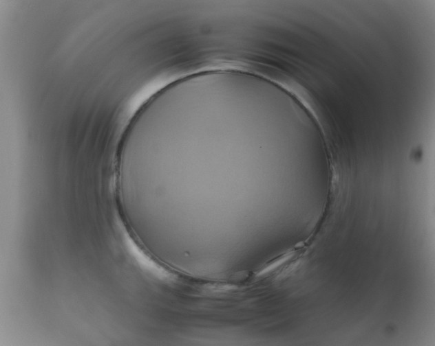 X0000110971143200907022239