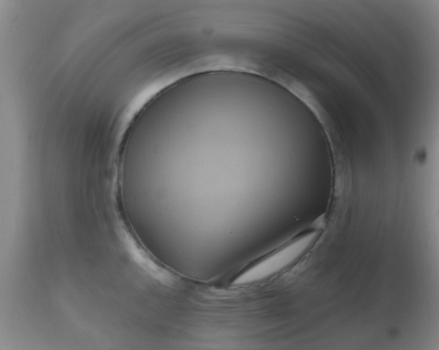 X0000110971144200907022239