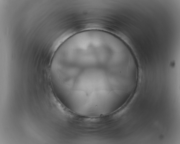 X0000110971145200907022239