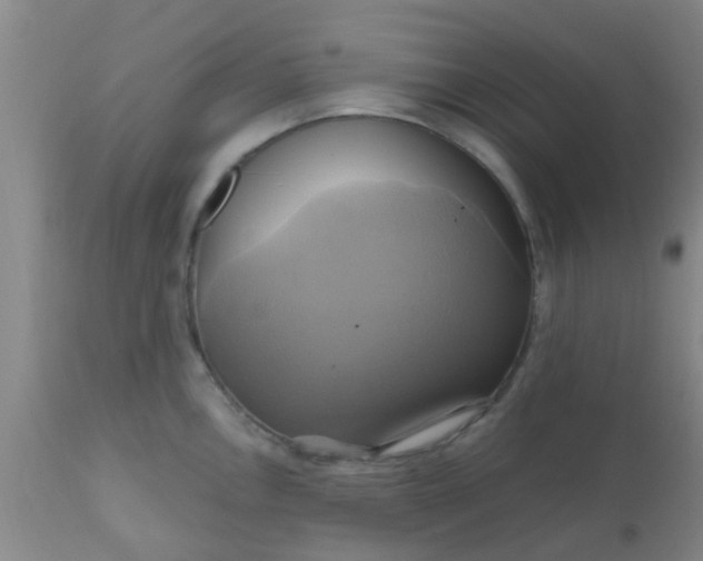 X0000110971146200907022239