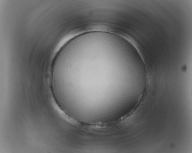 X0000110971147200907022239