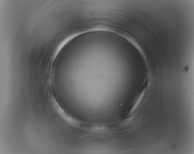 X0000110971148200907022239