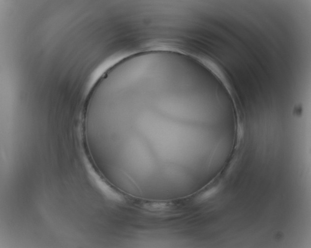 X0000110971149200907022239