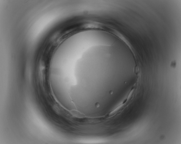 X0000110971151200907022239