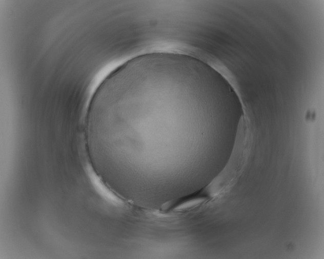 X0000110971152200907022239