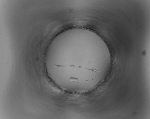 X0000110971153200907022238