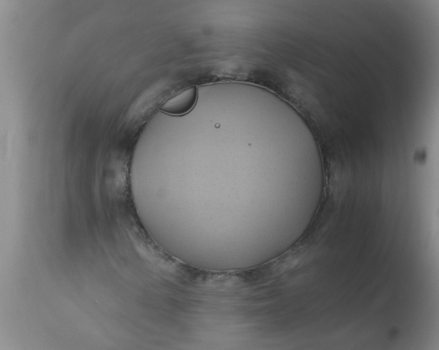 X0000110971154200907022238