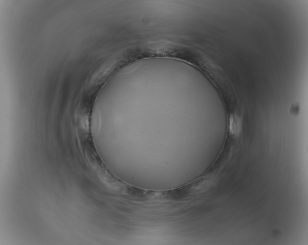 X0000110971155200907022238