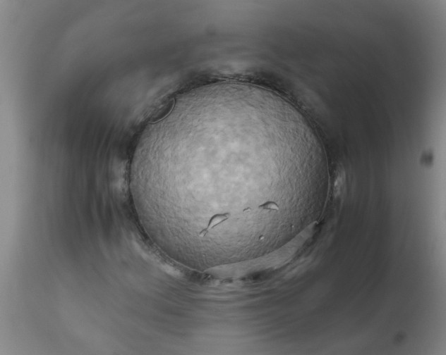 X0000110971156200907022238