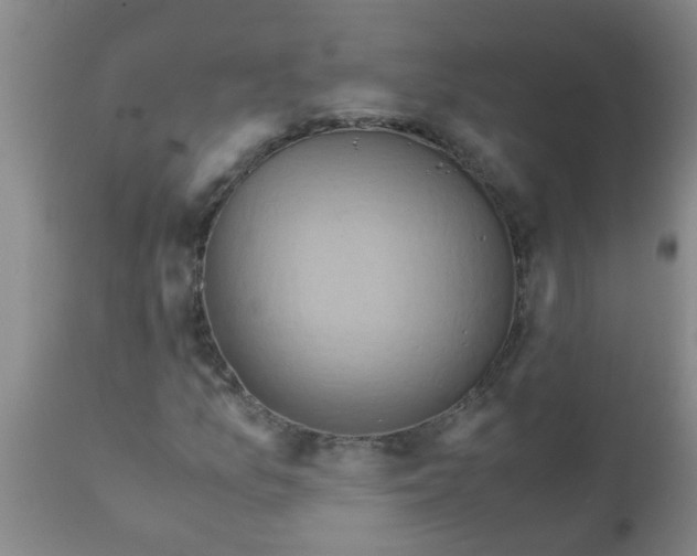 X0000110971157200907022238