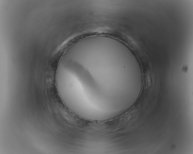 X0000110971158200907022238