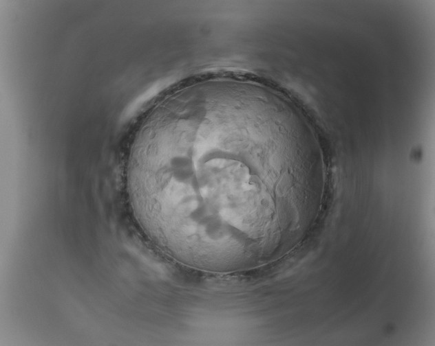 X0000110971159200907022238