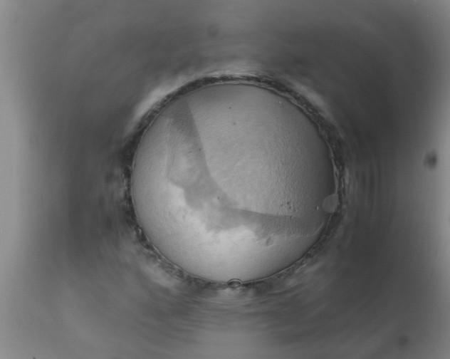 X0000110971160200907022238