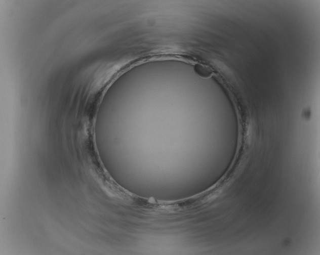 X0000110971161200907022238