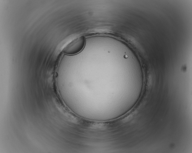 X0000110971162200907022238