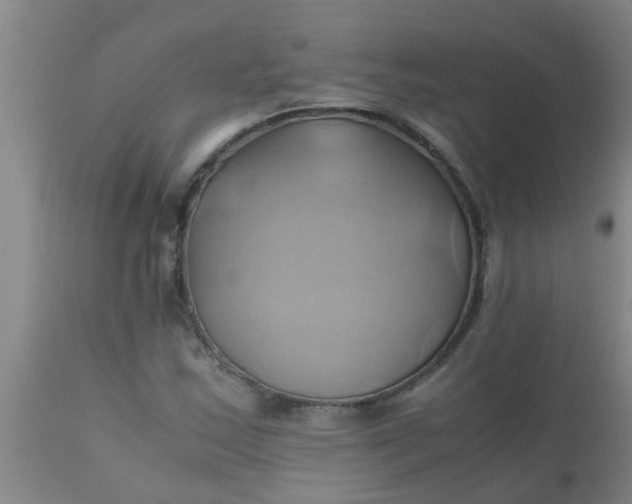 X0000110971163200907022238