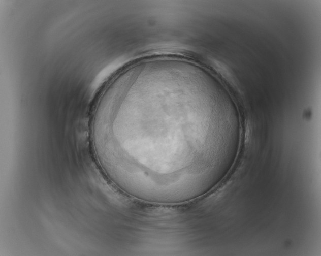 X0000110971164200907022238