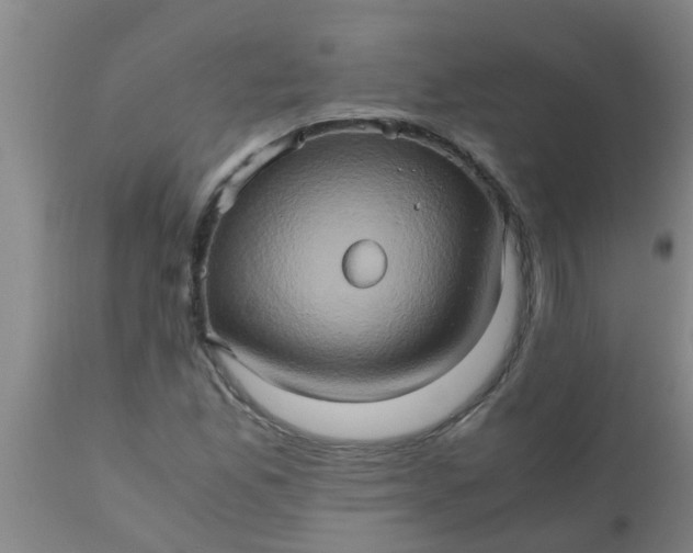 X0000110971165200907022238