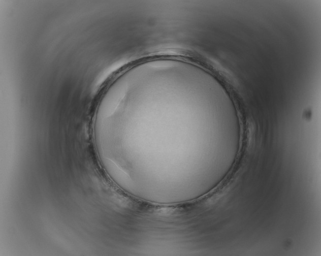 X0000110971166200907022238