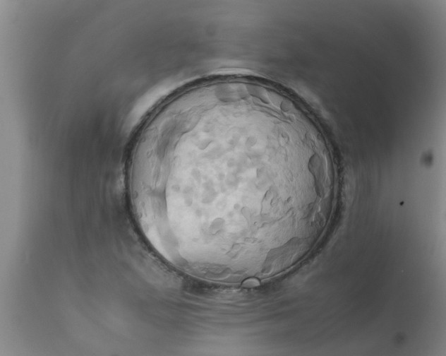 X0000110971167200907022238