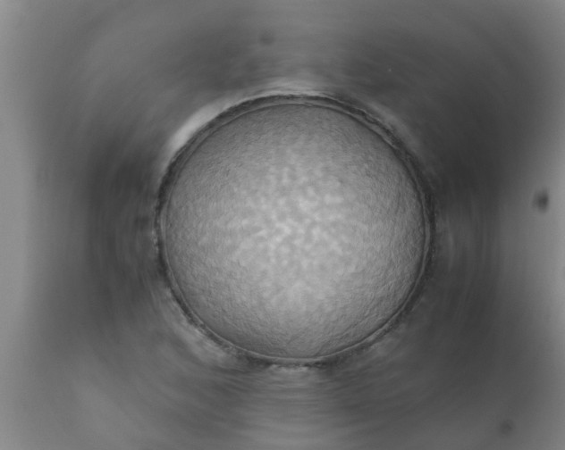 X0000110971168200907022238