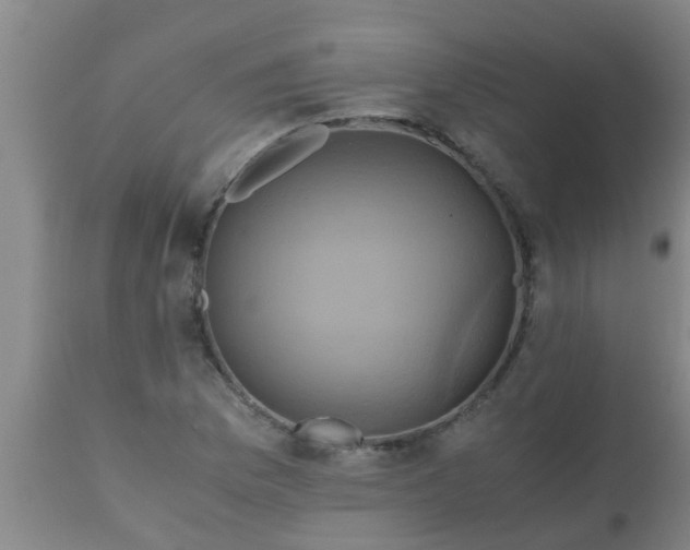 X0000110971169200907022238