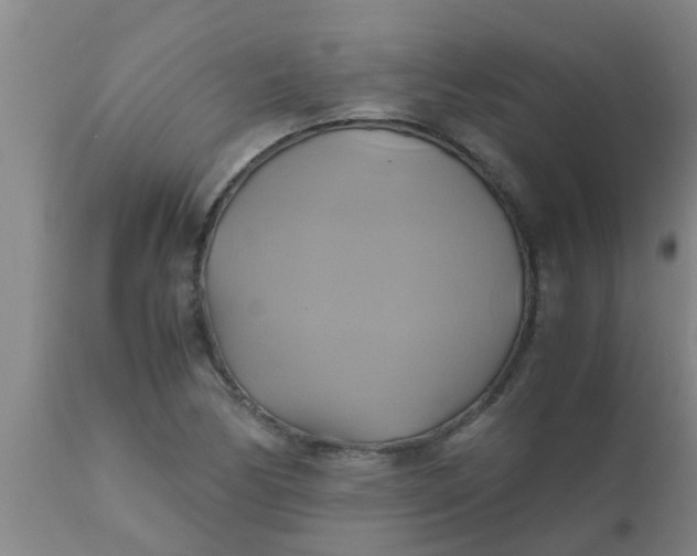 X0000110971170200907022238