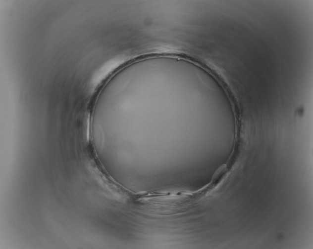 X0000110971171200907022238