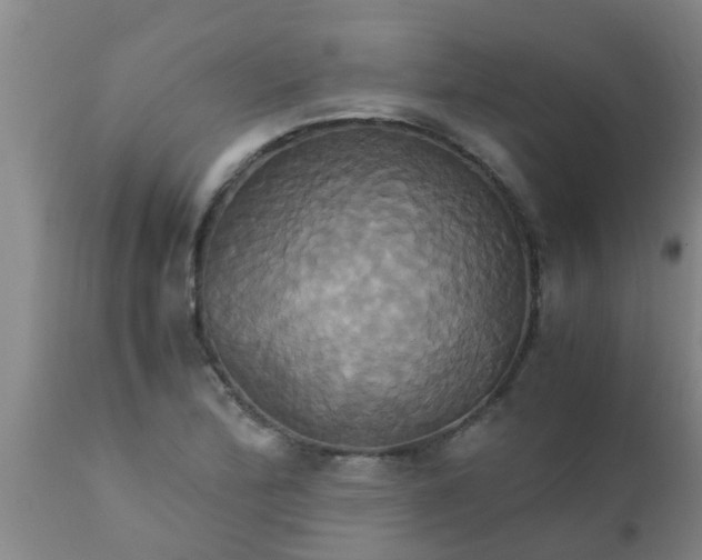 X0000110971172200907022238