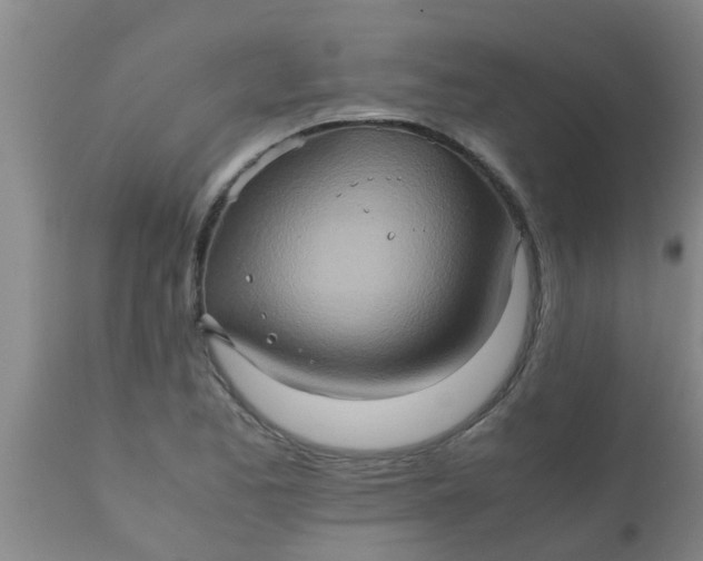 X0000110971173200907022238