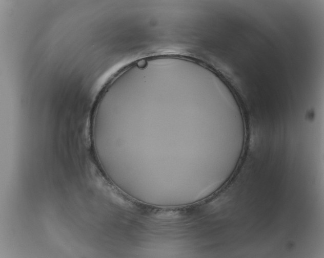 X0000110971174200907022238