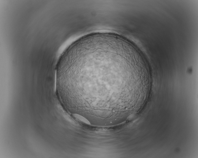 X0000110971175200907022238