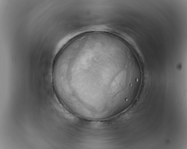 X0000110971176200907022238