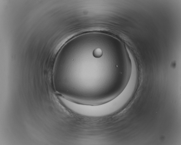 X0000110971177200907022238