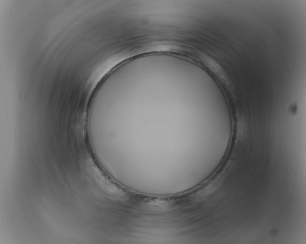 X0000110971178200907022238