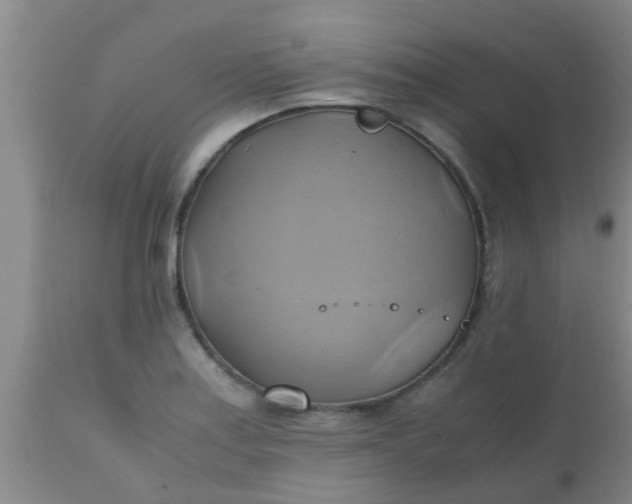 X0000110971179200907022237