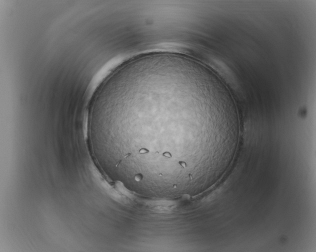 X0000110971180200907022237