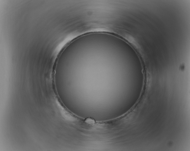 X0000110971181200907022237