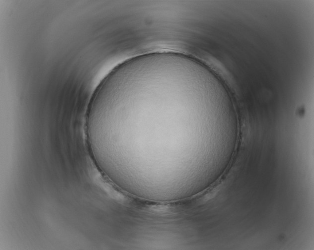 X0000110971182200907022237