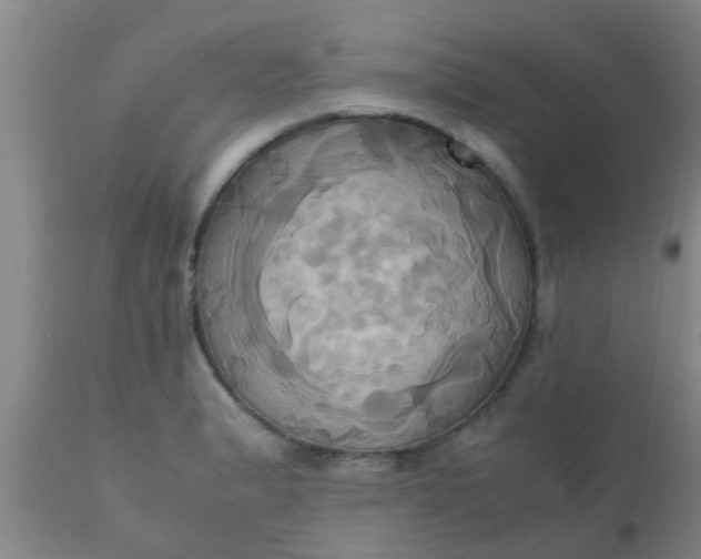 X0000110971183200907022237