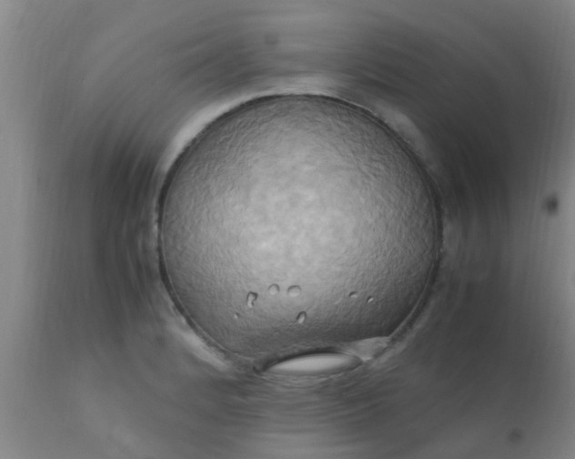 X0000110971184200907022237