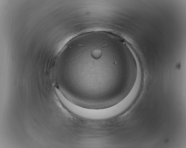 X0000110971185200907022237