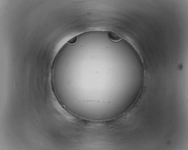 X0000110971187200907022237