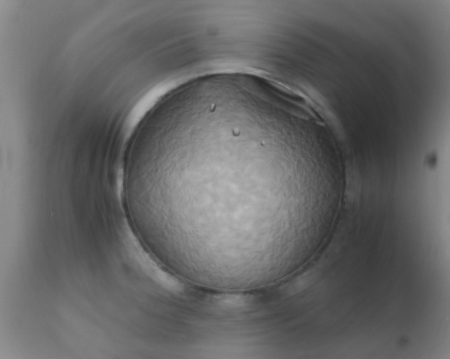 X0000110971188200907022237